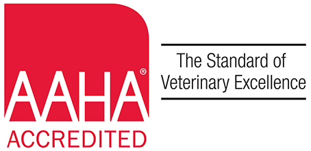 AAHA Accredited