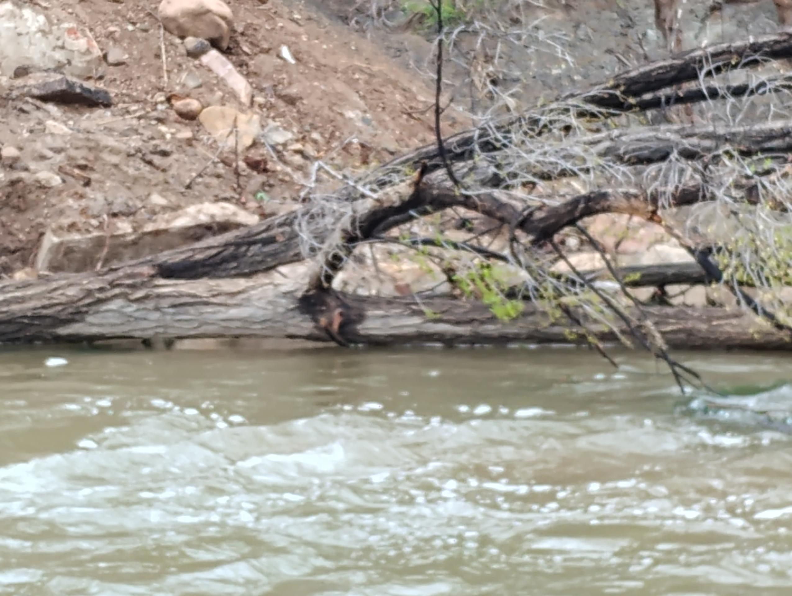 River where Milo fell