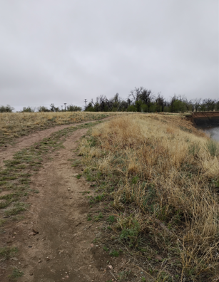 Trail where Milo fell