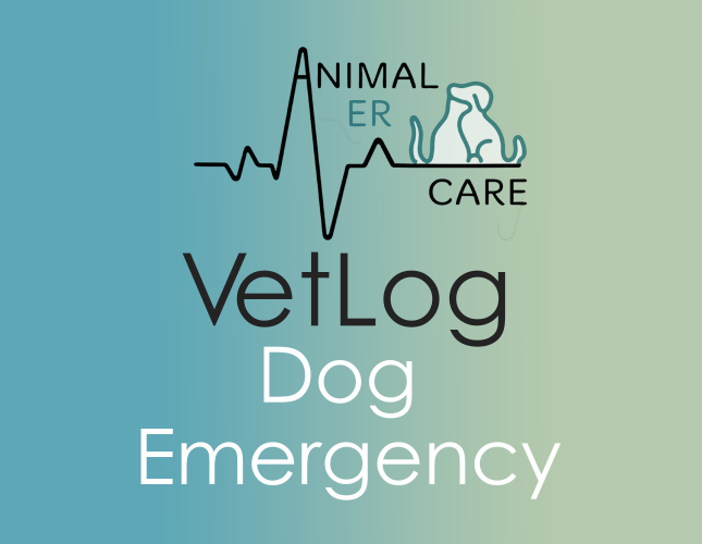 VetLog: Dog Emergency